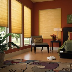 Motorized Double Cell Blackout Shades 